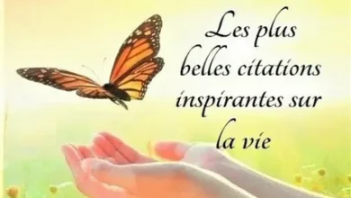 citation sur la vie