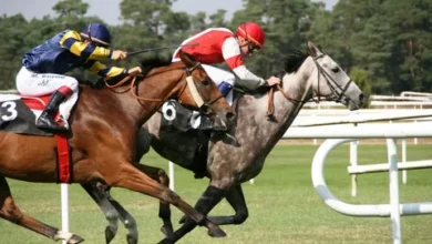 Course de Chevaux : Plongez dans le Monde Palpitant des Courses Hippiques