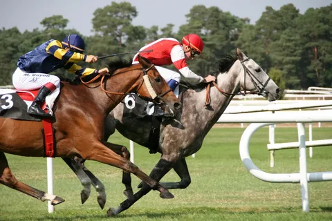 Course de Chevaux : Plongez dans le Monde Palpitant des Courses Hippiques