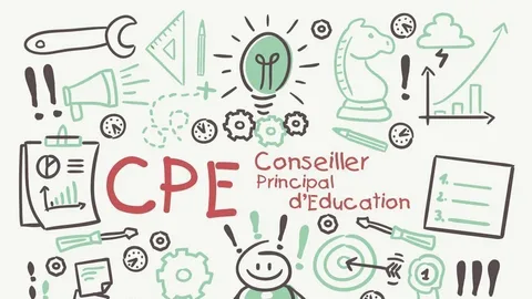 conseiller principal d éducation